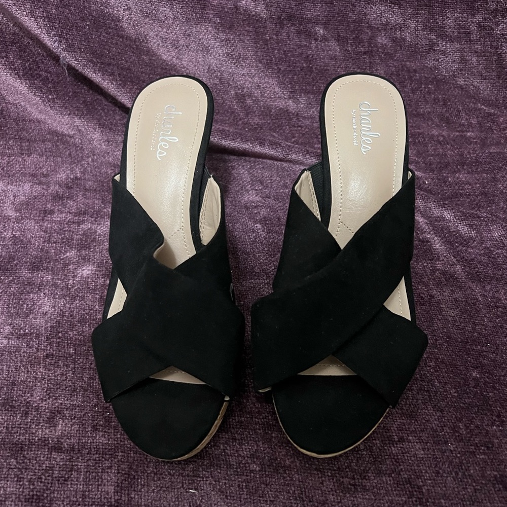 Charles by Charles David Wedged Heel Size 8.5